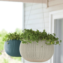 Hanging Baskets